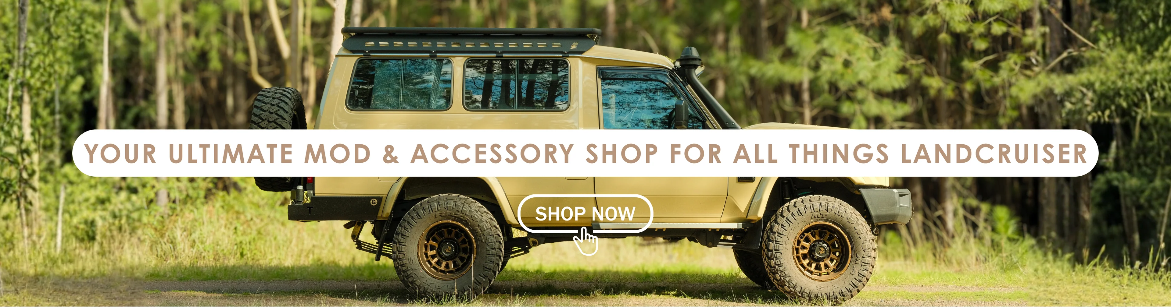 Welcome to Our Store